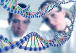 喷鼻治疗癫痫反复发作!Neurelis公司Valtoco(地西泮鼻腔喷雾剂)在美国进入正式审查