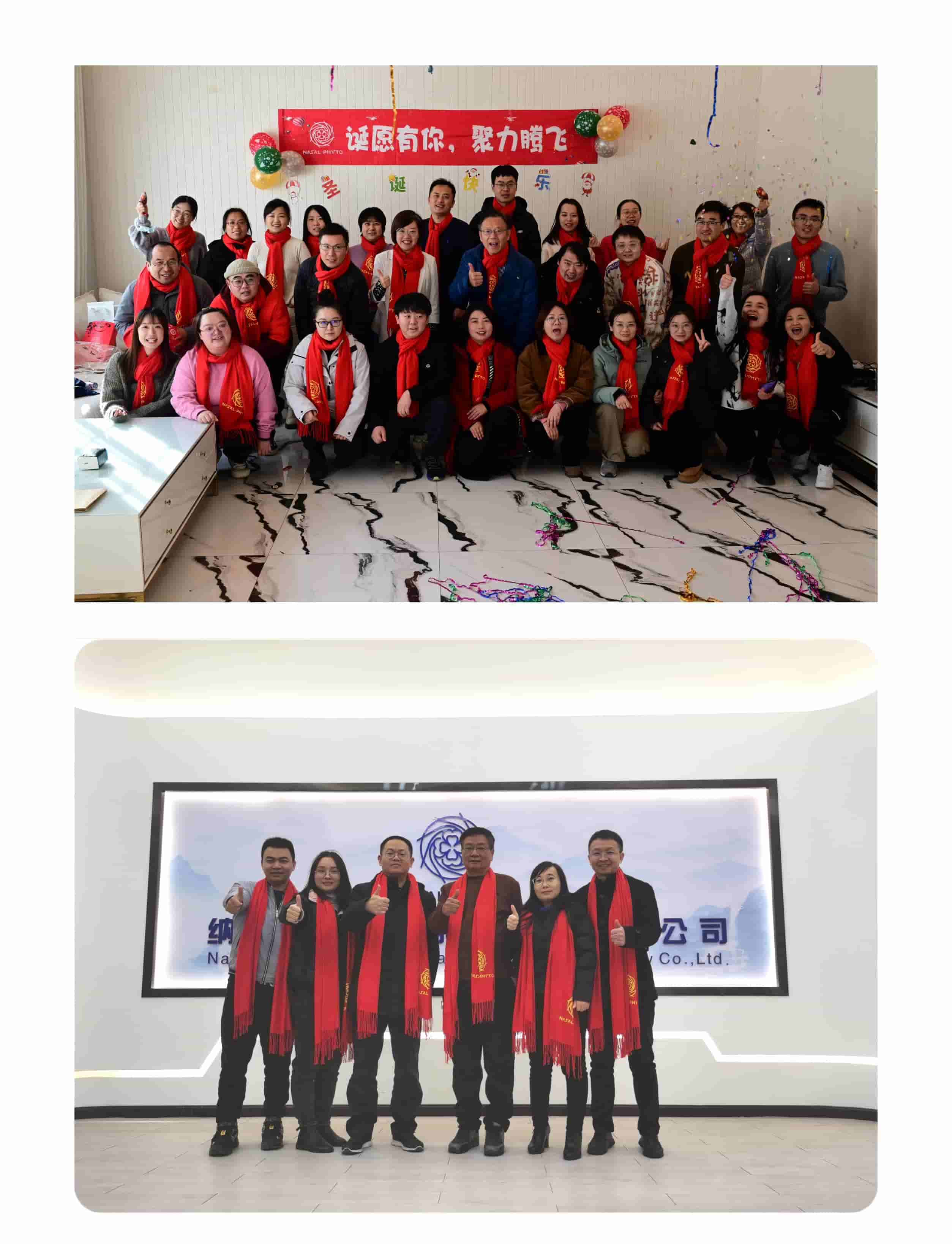 纳菲制药举办迎新年团建活动