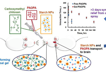 J Control Release:通过鼻腔喷入的给药方法有望减轻抗精神病药物的副作用